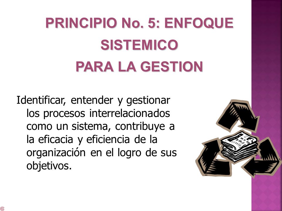 PRINCIPIO No. 5: ENFOQUE SISTEMICO PARA LA GESTION