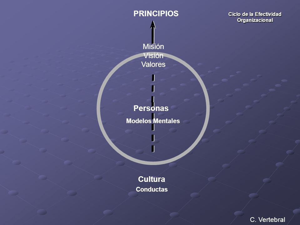 Ciclo de la Efectividad Organizacional