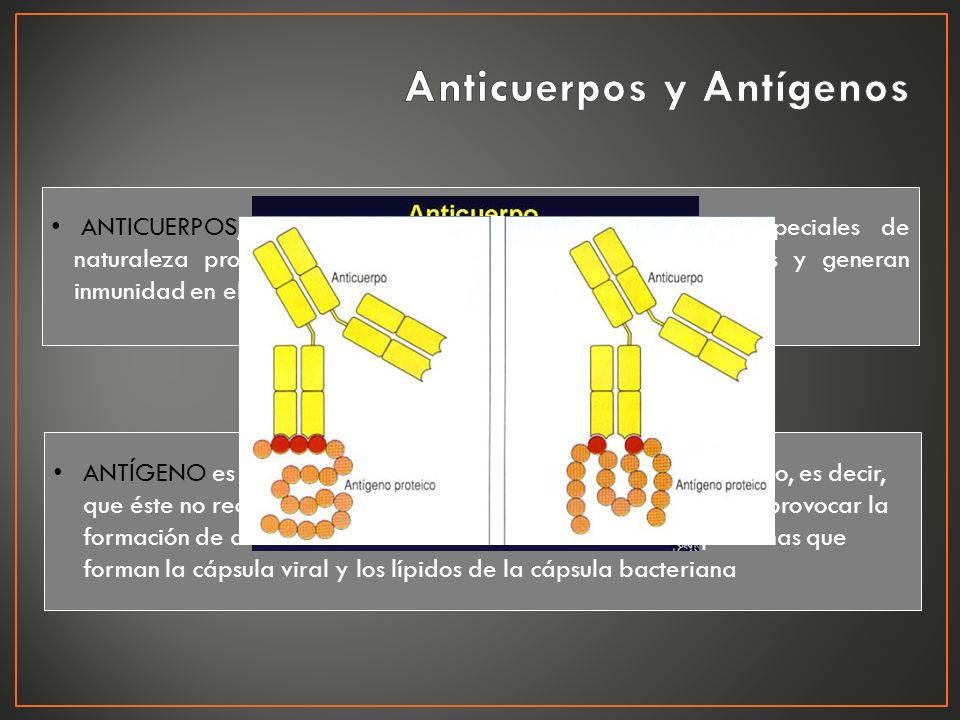 Anticuerpos y Antígenos