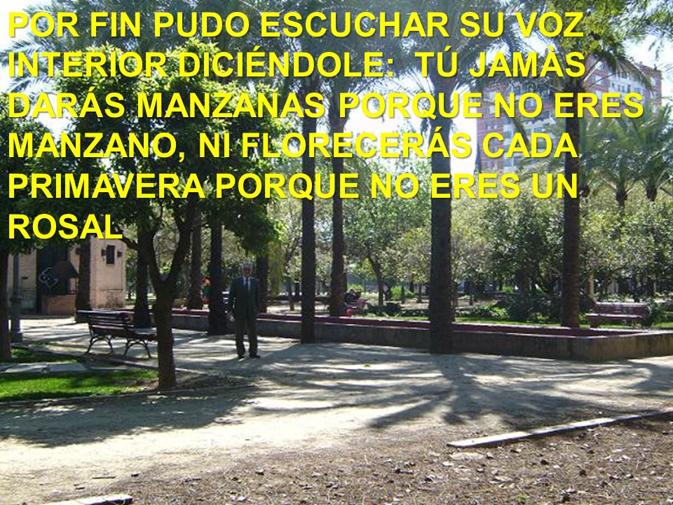 POR FIN PUDO ESCUCHAR SU VOZ INTERIOR DICIÉNDOLE: TÚ JAMÀS DARÁS MANZANAS PORQUE NO ERES MANZANO, NI FLORECERÁS CADA PRIMAVERA PORQUE NO ERES UN ROSAL