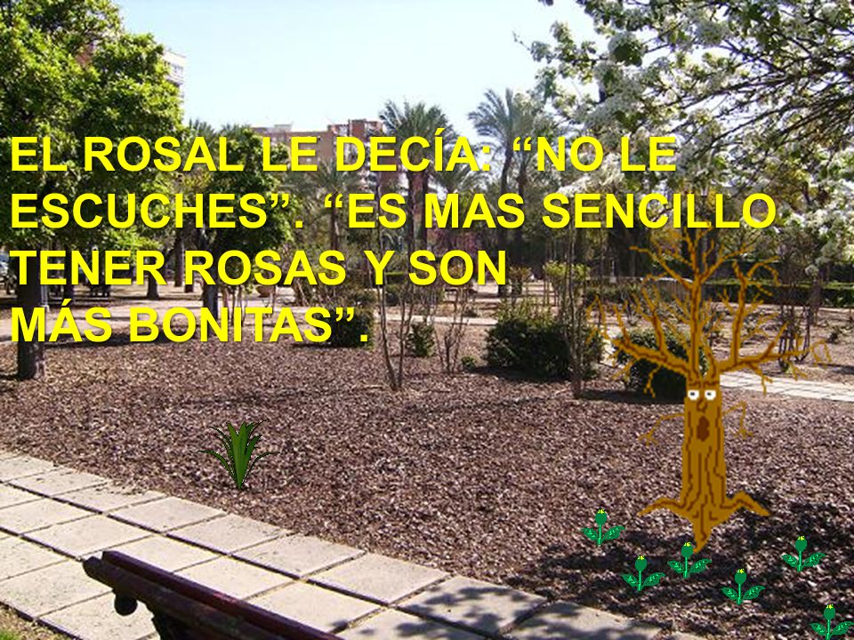 EL ROSAL LE DECÍA: NO LE ESCUCHES . ES MAS SENCILLO TENER ROSAS Y SON