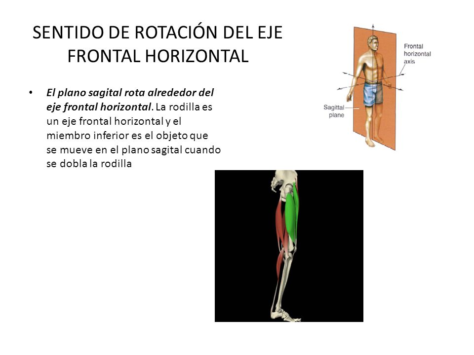 SENTIDO DE ROTACIÓN DEL EJE FRONTAL HORIZONTAL