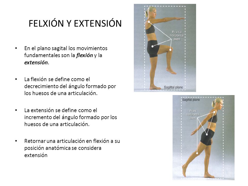 FELXIÓN Y EXTENSIÓN En el plano sagital los movimientos fundamentales son la flexión y la extensión.