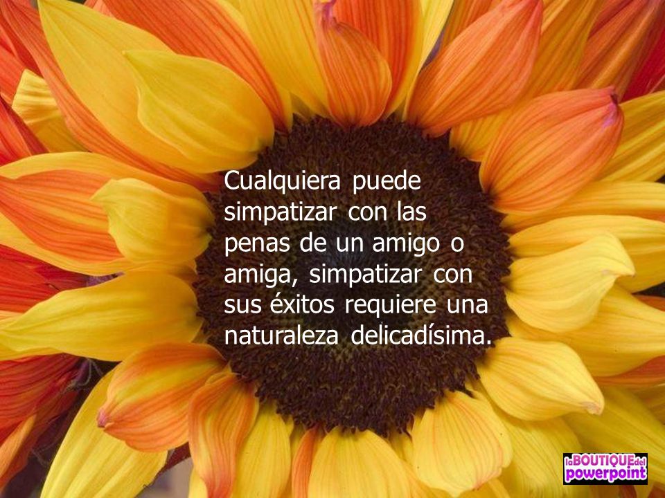 Cualquiera puede simpatizar con las penas de un amigo o amiga, simpatizar con sus éxitos requiere una naturaleza delicadísima.