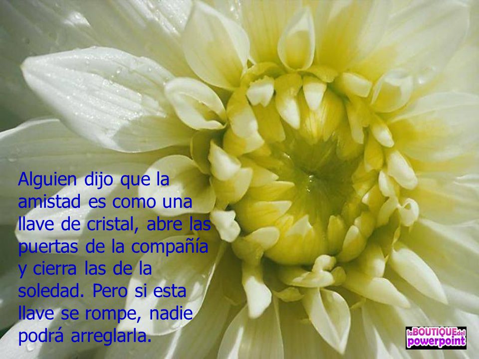 Alguien dijo que la amistad es como una llave de cristal, abre las puertas de la compañía y cierra las de la soledad.