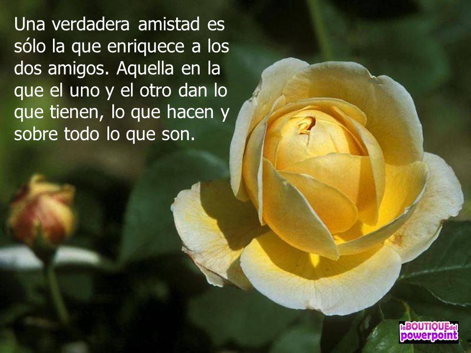 Una verdadera amistad es sólo la que enriquece a los dos amigos