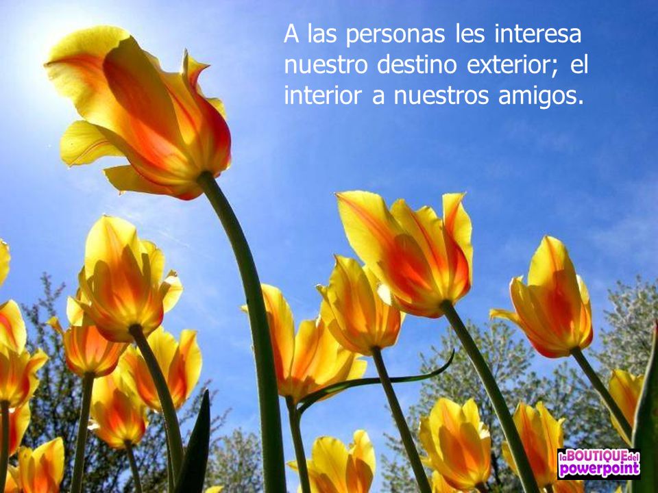 A las personas les interesa nuestro destino exterior; el interior a nuestros amigos.