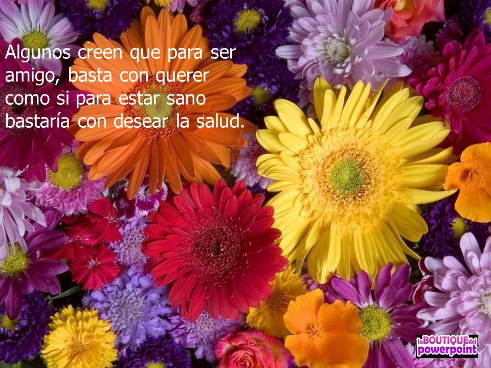 Algunos creen que para ser amigo, basta con querer como si para estar sano bastaría con desear la salud.