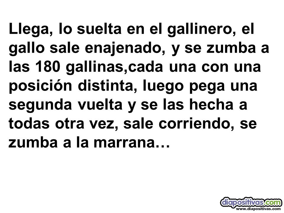 Llega, lo suelta en el gallinero, el gallo sale enajenado, y se zumba a las 180 gallinas,cada una con una posición distinta, luego pega una segunda vuelta y se las hecha a todas otra vez, sale corriendo, se zumba a la marrana…