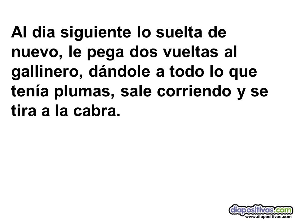 Al dia siguiente lo suelta de nuevo, le pega dos vueltas al gallinero, dándole a todo lo que tenía plumas, sale corriendo y se tira a la cabra.