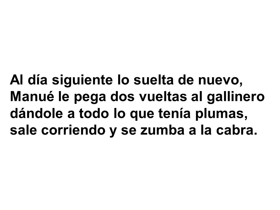 Al día siguiente lo suelta de nuevo, Manué le pega dos vueltas al gallinero dándole a todo lo que tenía plumas, sale corriendo y se zumba a la cabra.