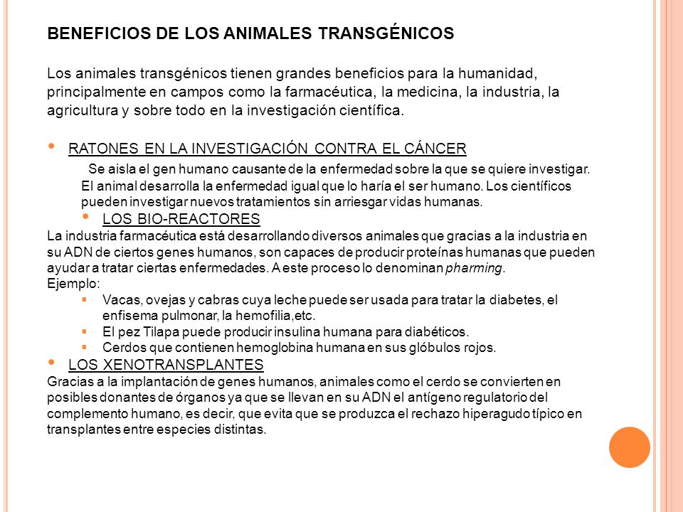 BENEFICIOS DE LOS ANIMALES TRANSGÉNICOS