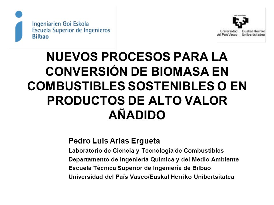 NUEVOS PROCESOS PARA LA CONVERSIÓN DE BIOMASA EN COMBUSTIBLES SOSTENIBLES O EN PRODUCTOS DE ALTO VALOR AÑADIDO