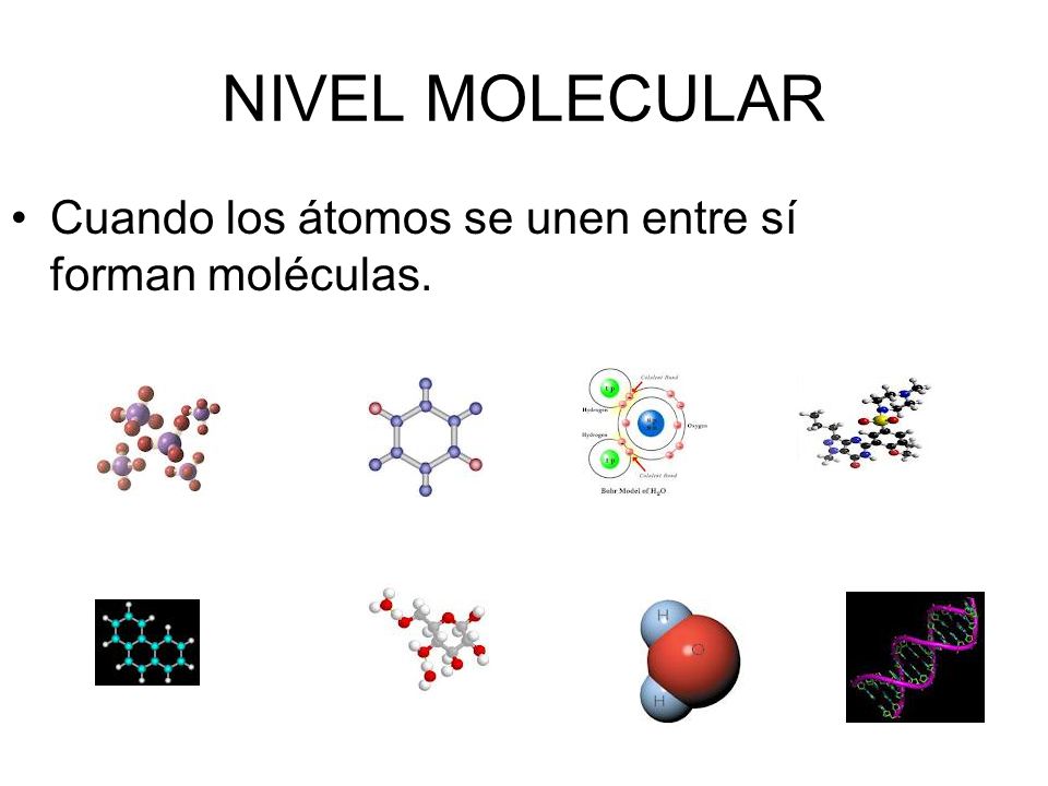 NIVEL MOLECULAR Cuando los átomos se unen entre sí forman moléculas.