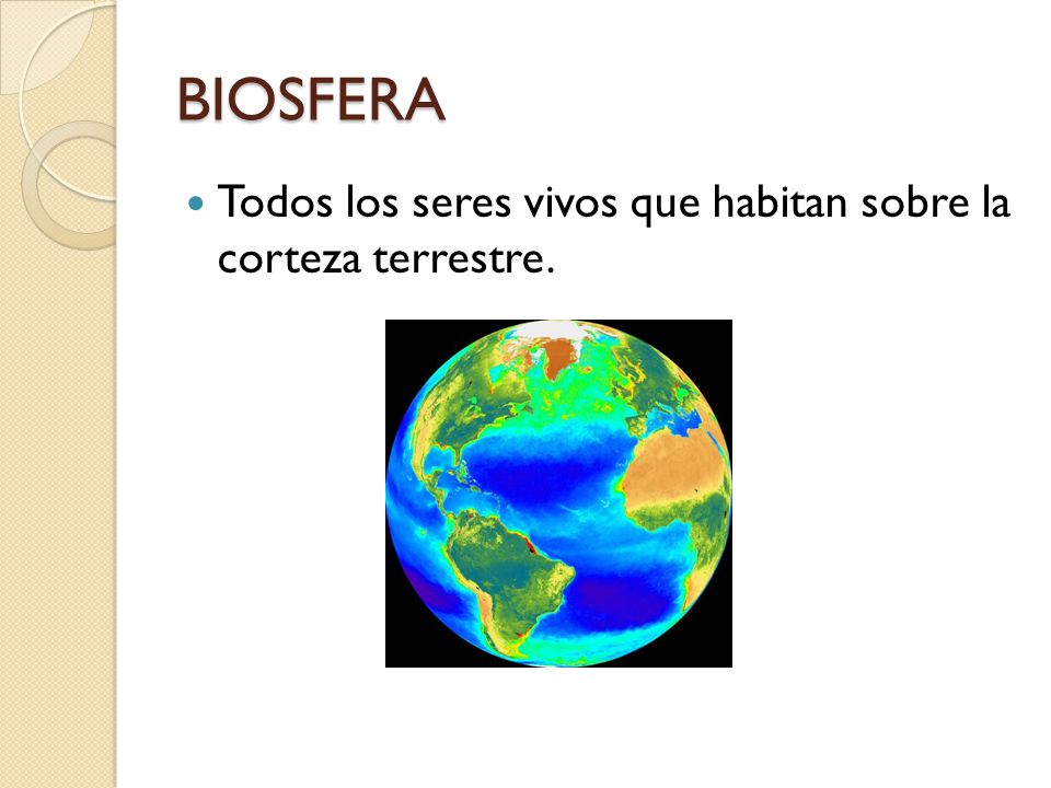 BIOSFERA Todos los seres vivos que habitan sobre la corteza terrestre.