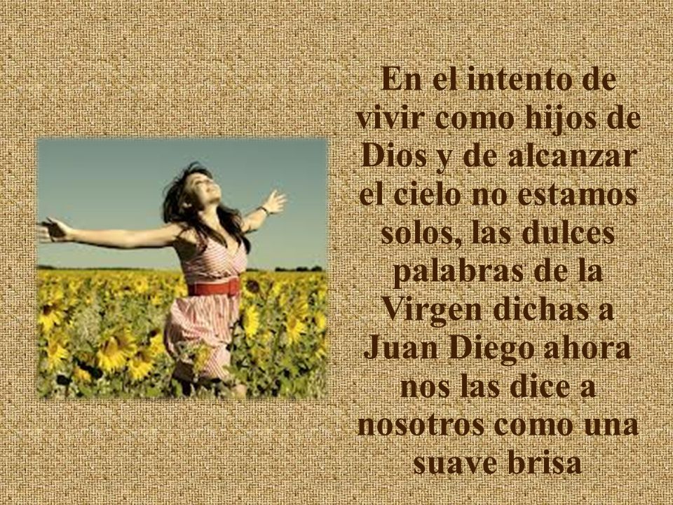 En el intento de vivir como hijos de Dios y de alcanzar el cielo no estamos solos, las dulces palabras de la Virgen dichas a Juan Diego ahora nos las dice a nosotros como una suave brisa