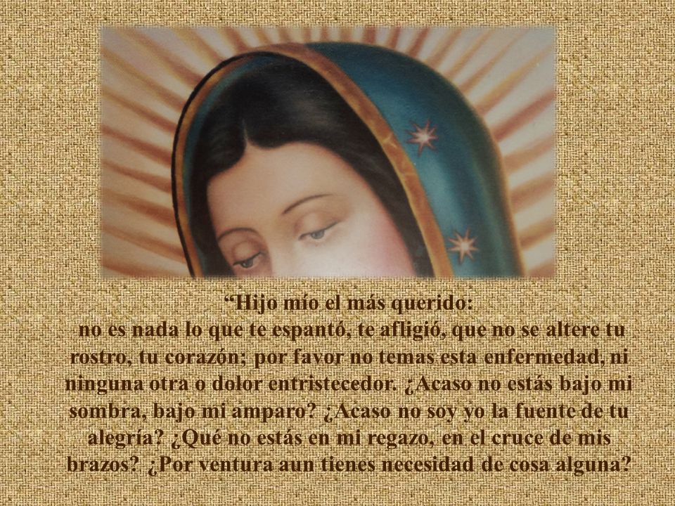 Hijo mío el más querido: no es nada lo que te espantó, te afligió, que no se altere tu rostro, tu corazón; por favor no temas esta enfermedad, ni ninguna otra o dolor entristecedor.