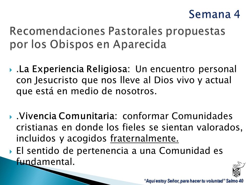 Recomendaciones Pastorales propuestas por los Obispos en Aparecida
