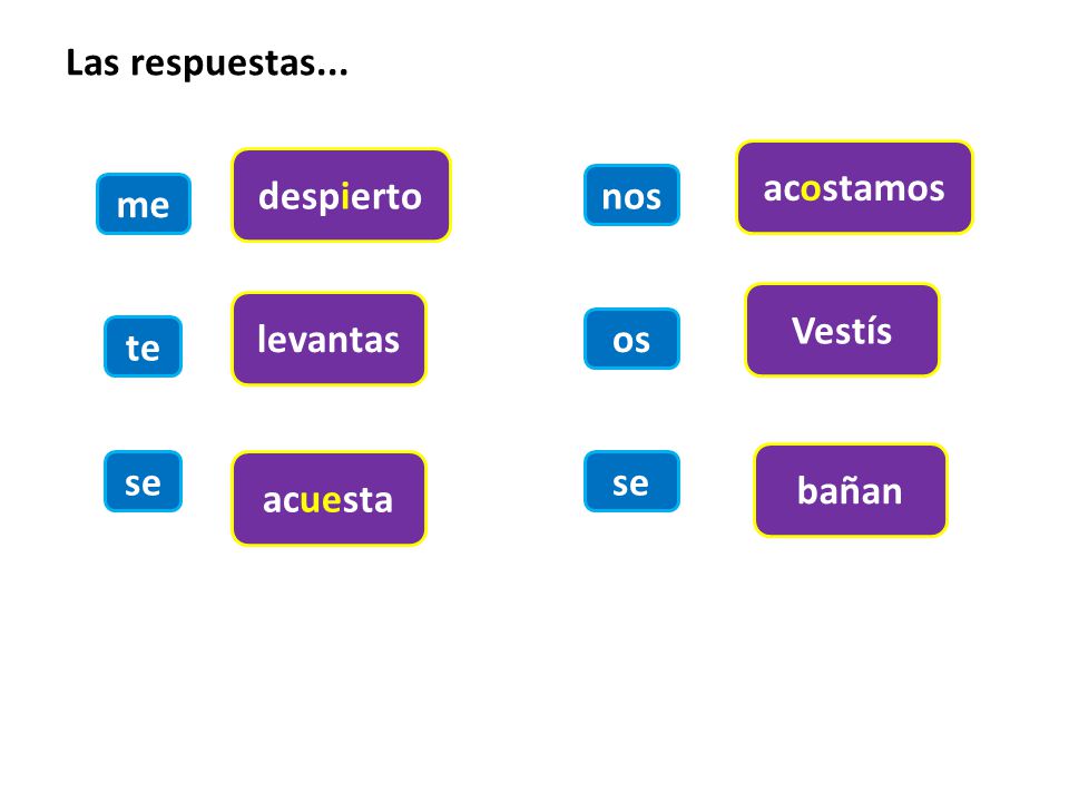 Las respuestas... acostamos despierto nos me Vestís levantas os te bañan se acuesta se
