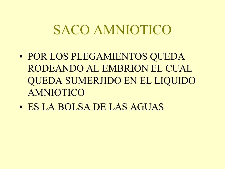 SACO AMNIOTICO POR LOS PLEGAMIENTOS QUEDA RODEANDO AL EMBRION EL CUAL QUEDA SUMERJIDO EN EL LIQUIDO AMNIOTICO.