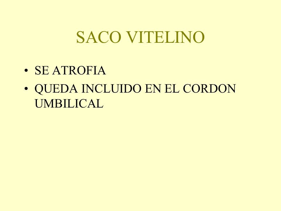 SACO VITELINO SE ATROFIA QUEDA INCLUIDO EN EL CORDON UMBILICAL
