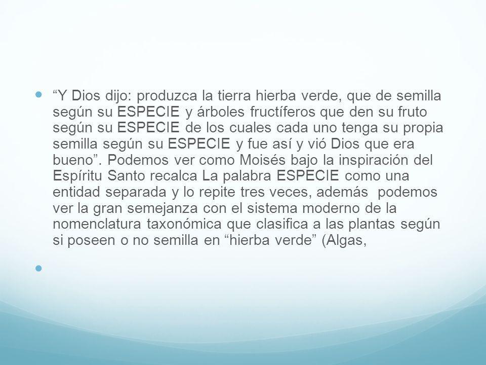 Y Dios dijo: produzca la tierra hierba verde, que de semilla según su ESPECIE y árboles fructíferos que den su fruto según su ESPECIE de los cuales cada uno tenga su propia semilla según su ESPECIE y fue así y vió Dios que era bueno . Podemos ver como Moisés bajo la inspiración del Espíritu Santo recalca La palabra ESPECIE como una entidad separada y lo repite tres veces, además podemos ver la gran semejanza con el sistema moderno de la nomenclatura taxonómica que clasifica a las plantas según si poseen o no semilla en hierba verde (Algas,