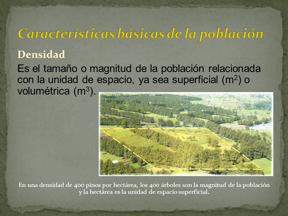 Características básicas de la población