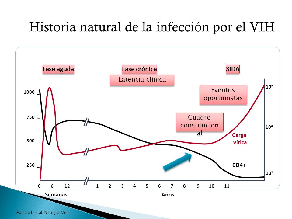 Historia natural de la infección por el VIH