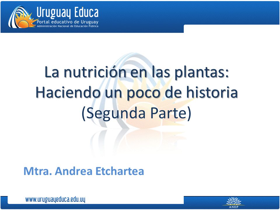 La nutrición en las plantas: Haciendo un poco de historia (Segunda Parte)