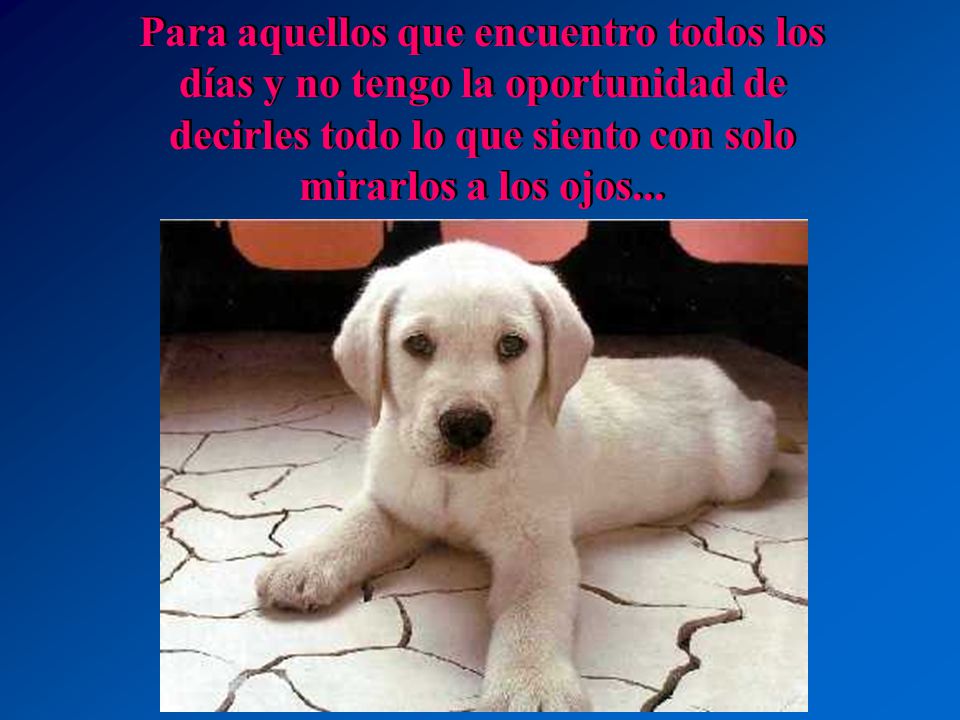 Para aquellos que encuentro todos los días y no tengo la oportunidad de decirles todo lo que siento con solo mirarlos a los ojos...