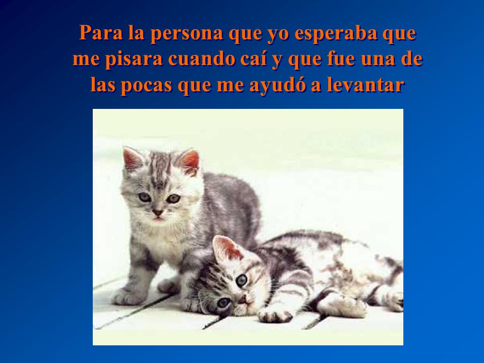 Para la persona que yo esperaba que me pisara cuando caí y que fue una de las pocas que me ayudó a levantar