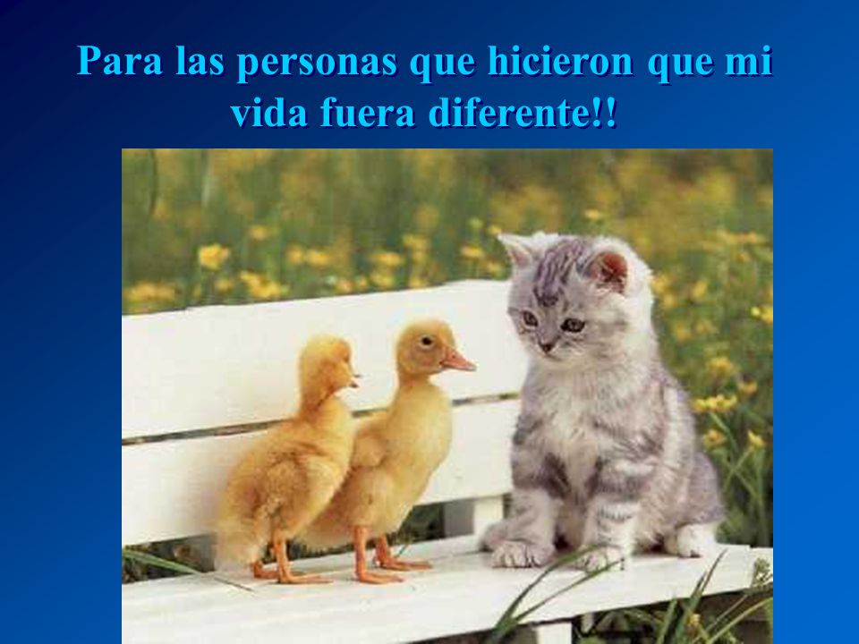 Para las personas que hicieron que mi vida fuera diferente!!
