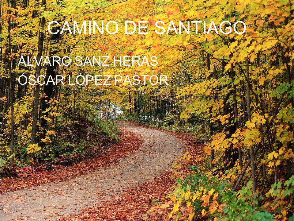 CAMINO DE SANTIAGO ÁLVARO SANZ HERAS ÓSCAR LÓPEZ PASTOR INDICE