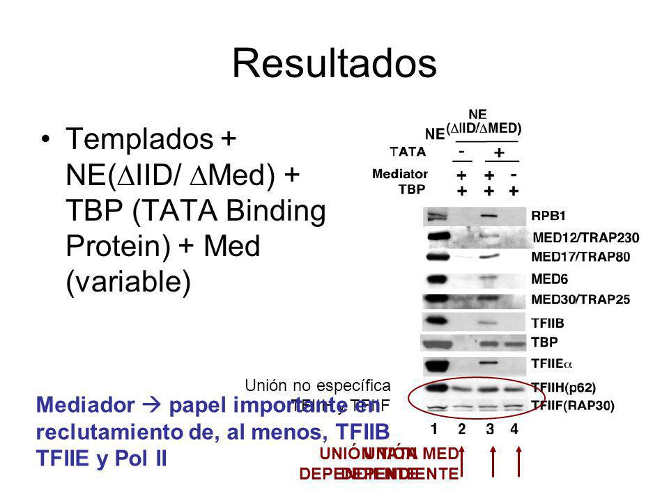 Resultados Templados + NE(IID/ Med) + TBP (TATA Binding Protein) + Med (variable) Unión no específica TFIIH y TFIIF.