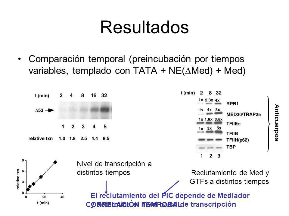Resultados Comparación temporal (preincubación por tiempos variables, templado con TATA + NE(Med) + Med)