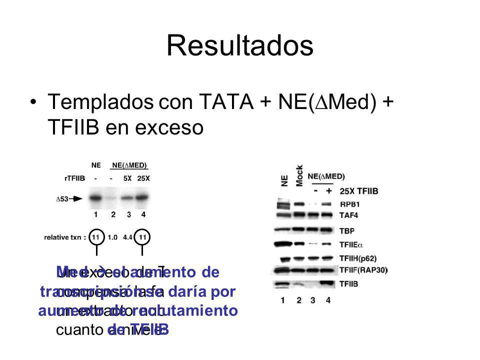 Resultados Templados con TATA + NE(Med) + TFIIB en exceso