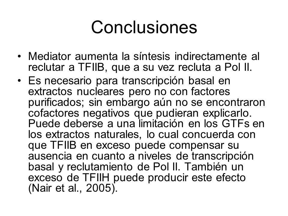 Conclusiones Mediator aumenta la síntesis indirectamente al reclutar a TFIIB, que a su vez recluta a Pol II.