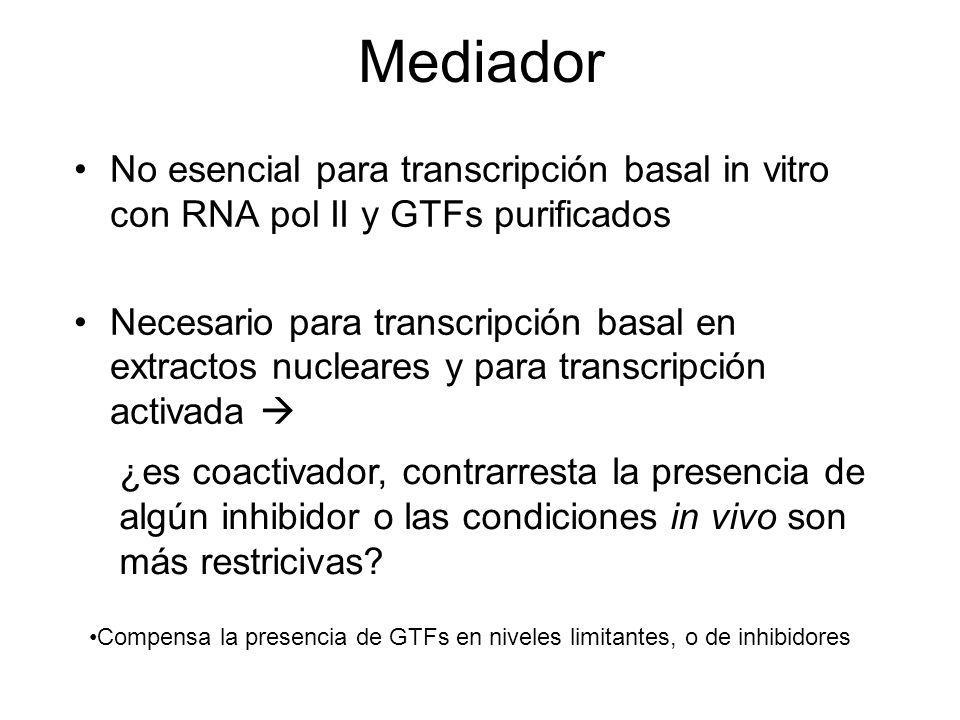 Mediador No esencial para transcripción basal in vitro con RNA pol II y GTFs purificados.