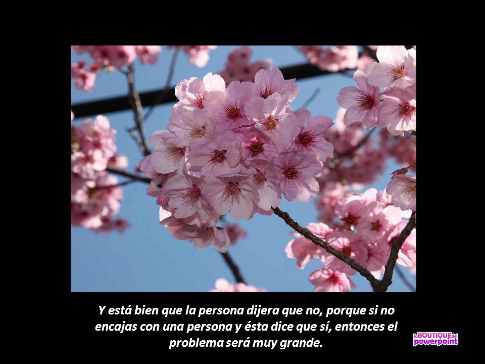 Y está bien que la persona dijera que no, porque si no encajas con una persona y ésta dice que sí, entonces el problema será muy grande.