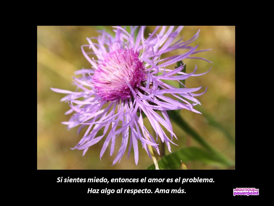 Si sientes miedo, entonces el amor es el problema.