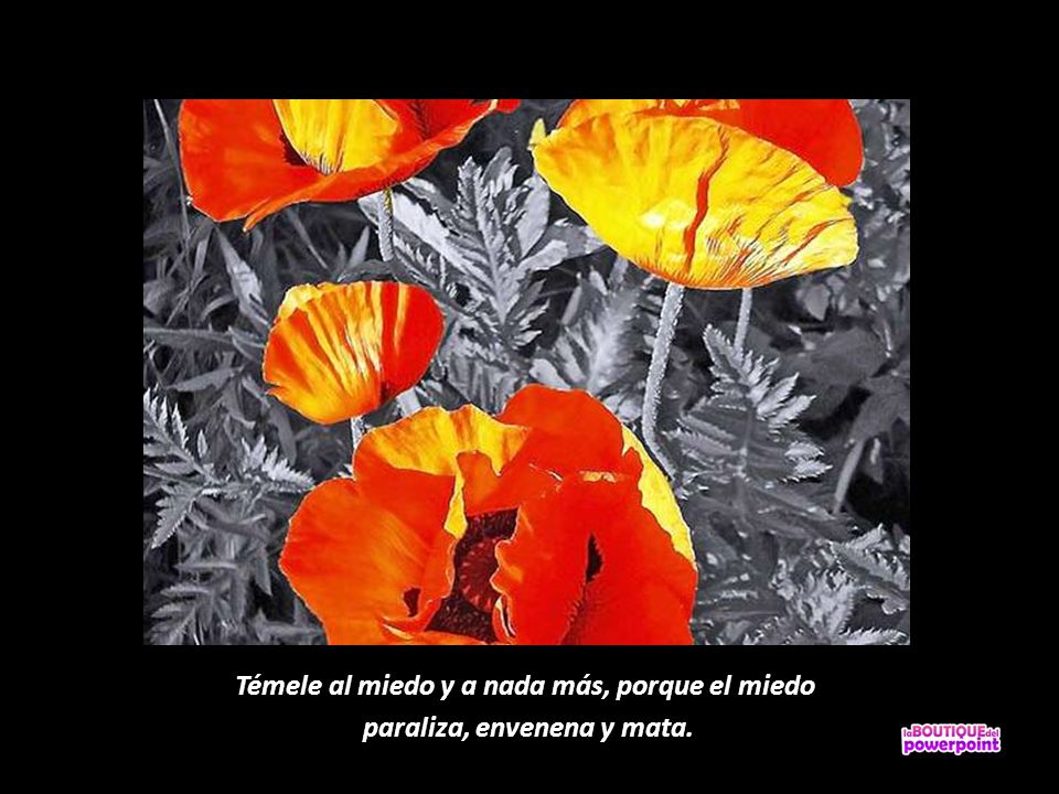 Témele al miedo y a nada más, porque el miedo