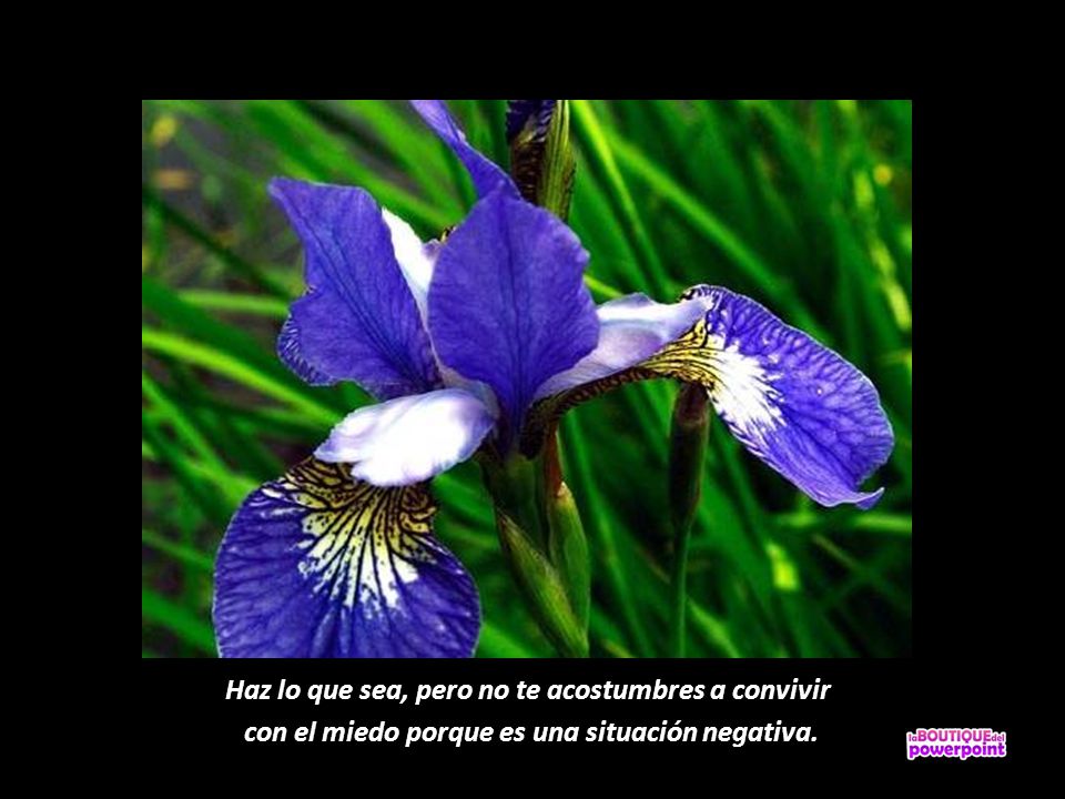 Haz lo que sea, pero no te acostumbres a convivir