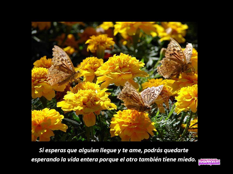 Si esperas que alguien llegue y te ame, podrás quedarte