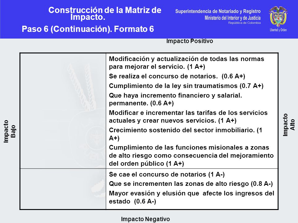 Construcción de la Matriz de Impacto. Paso 6 (Continuación). Formato 6