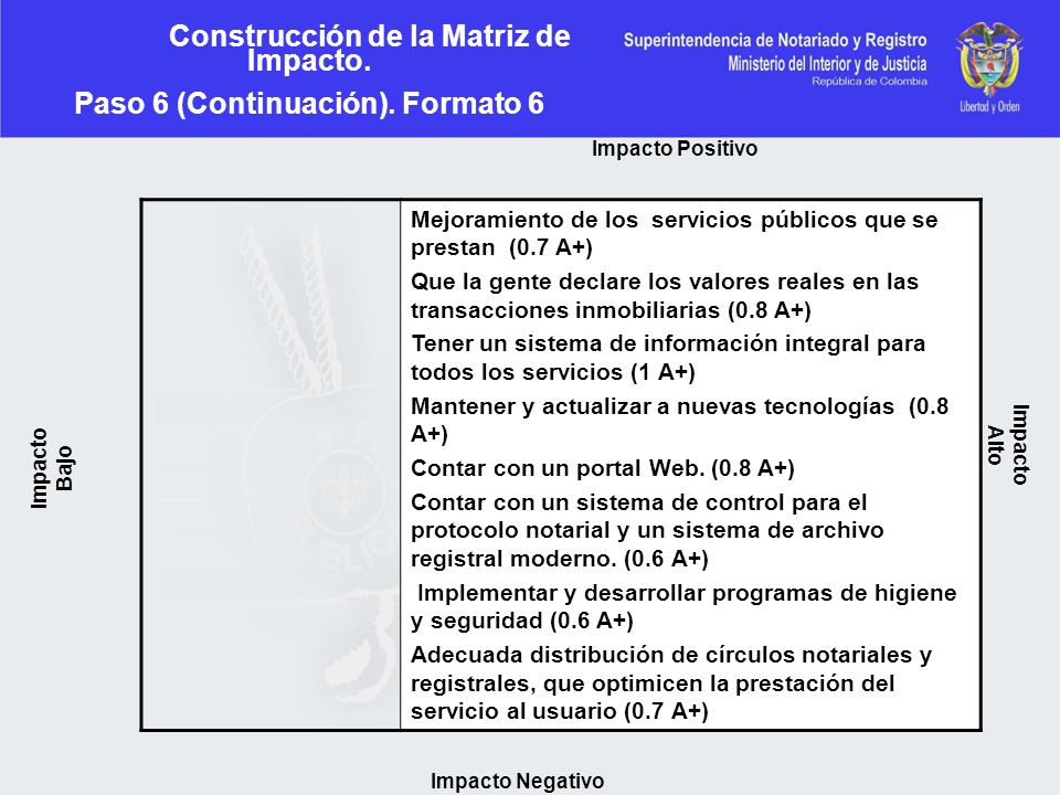 Construcción de la Matriz de Impacto. Paso 6 (Continuación). Formato 6