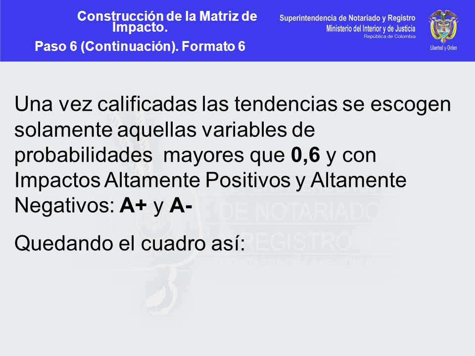 Construcción de la Matriz de Impacto. Paso 6 (Continuación). Formato 6