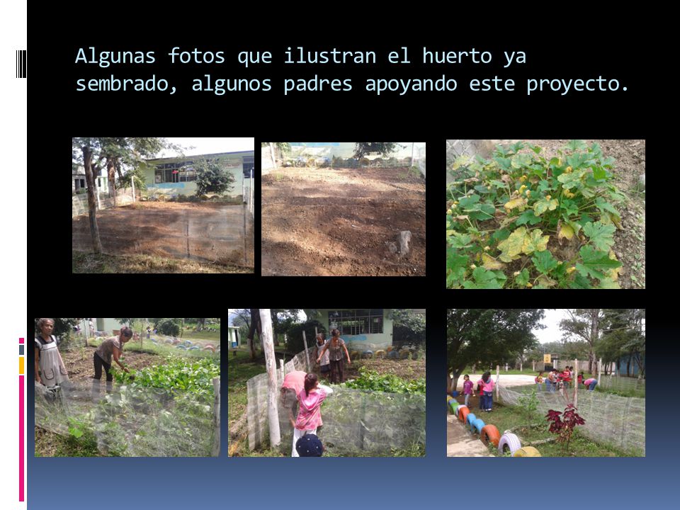 Algunas fotos que ilustran el huerto ya sembrado, algunos padres apoyando este proyecto.