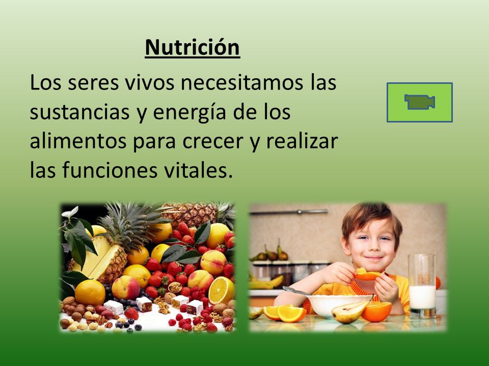 Nutrición Los seres vivos necesitamos las sustancias y energía de los alimentos para crecer y realizar las funciones vitales.