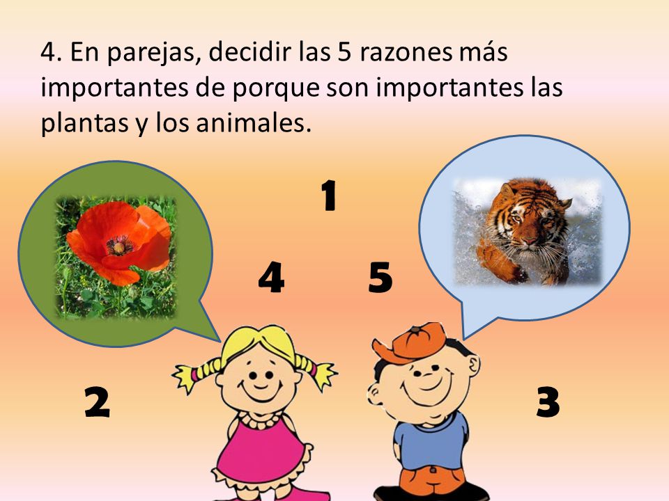 4. En parejas, decidir las 5 razones más importantes de porque son importantes las plantas y los animales.