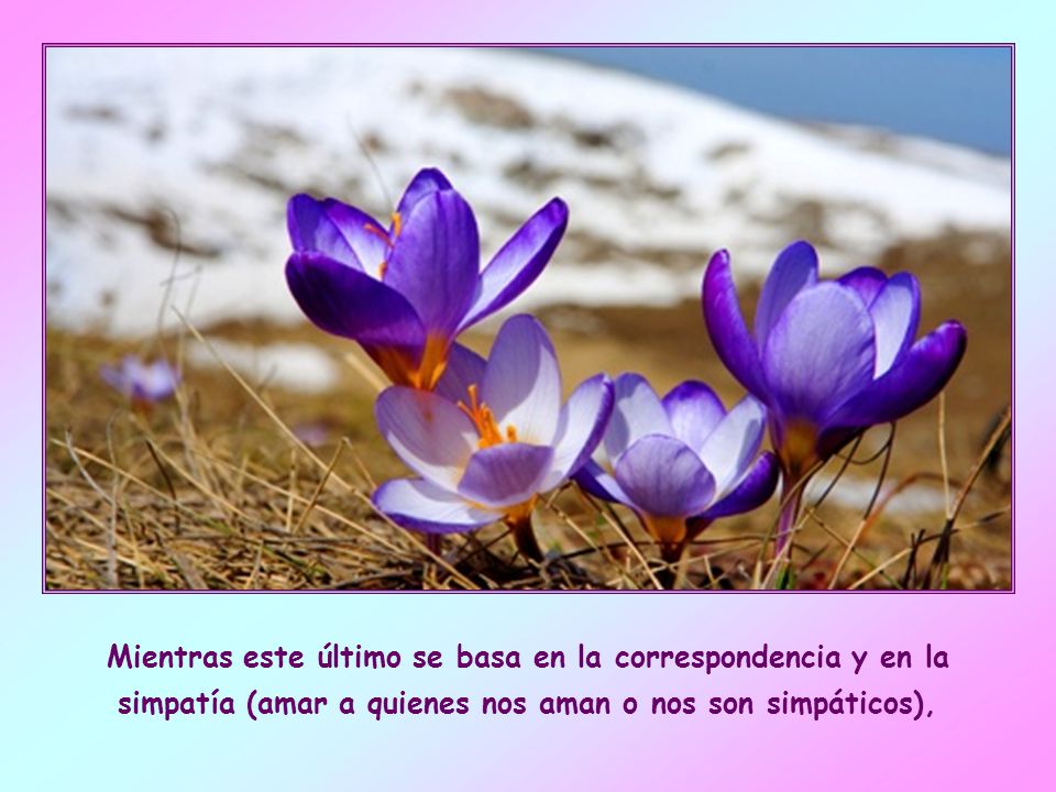 Mientras este último se basa en la correspondencia y en la simpatía (amar a quienes nos aman o nos son simpáticos),